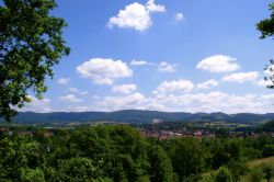 Bäume und Himmel