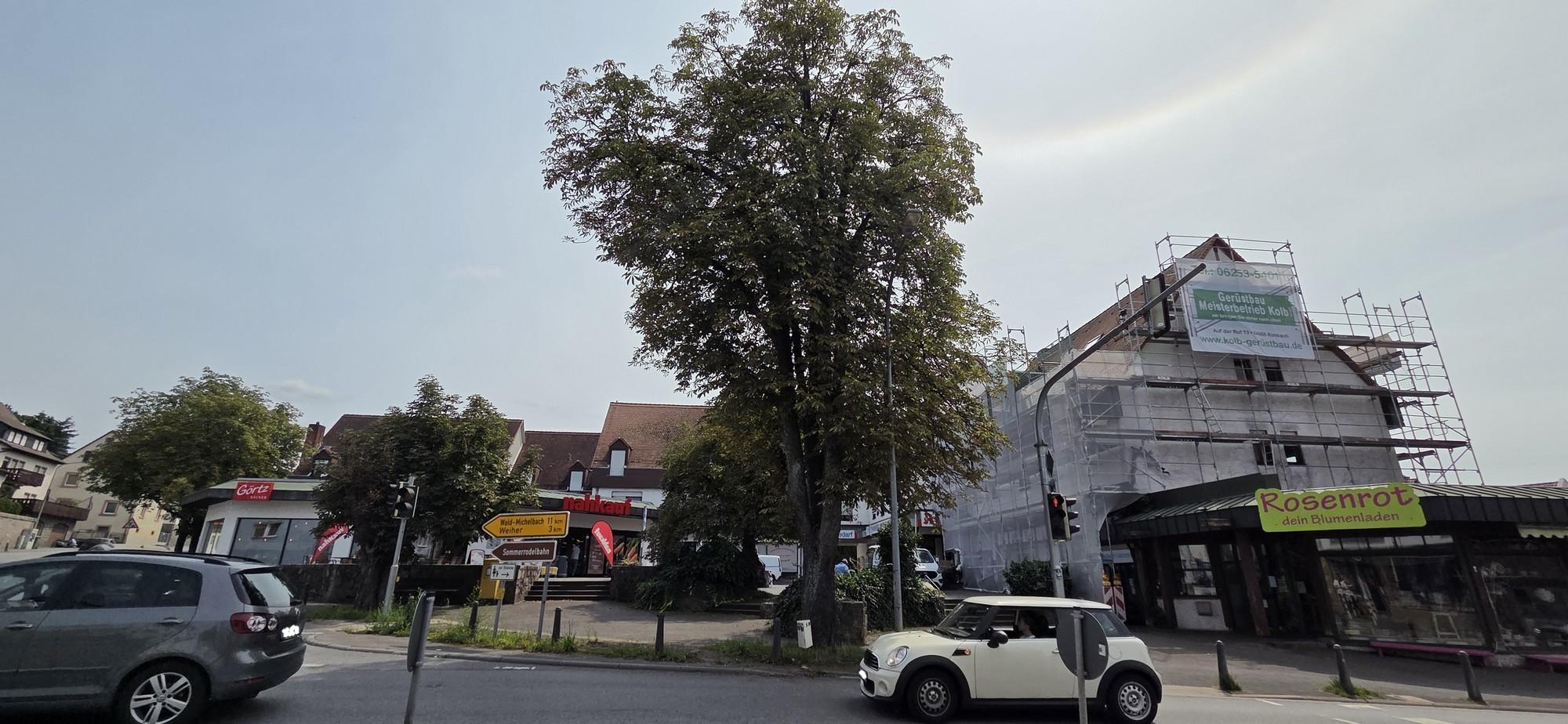 Neugestaltung des Kastanienplatzes2.jpg